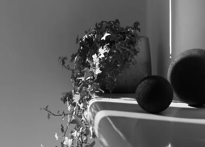 Griseo Karterados (Santorini)