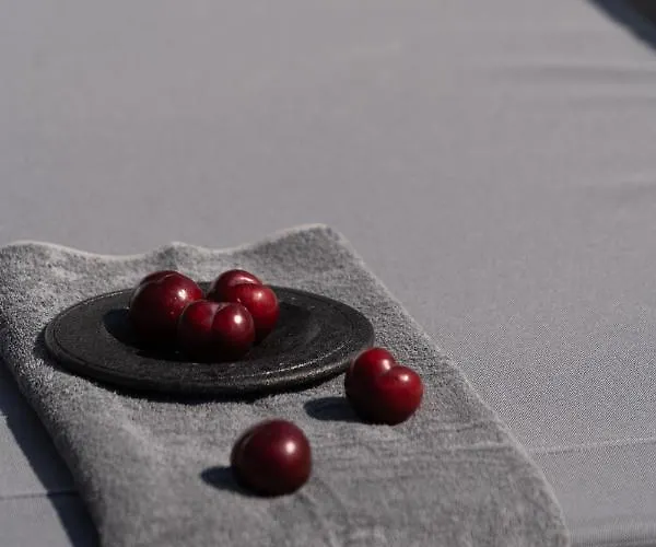 Griseo 4* カルテラドス